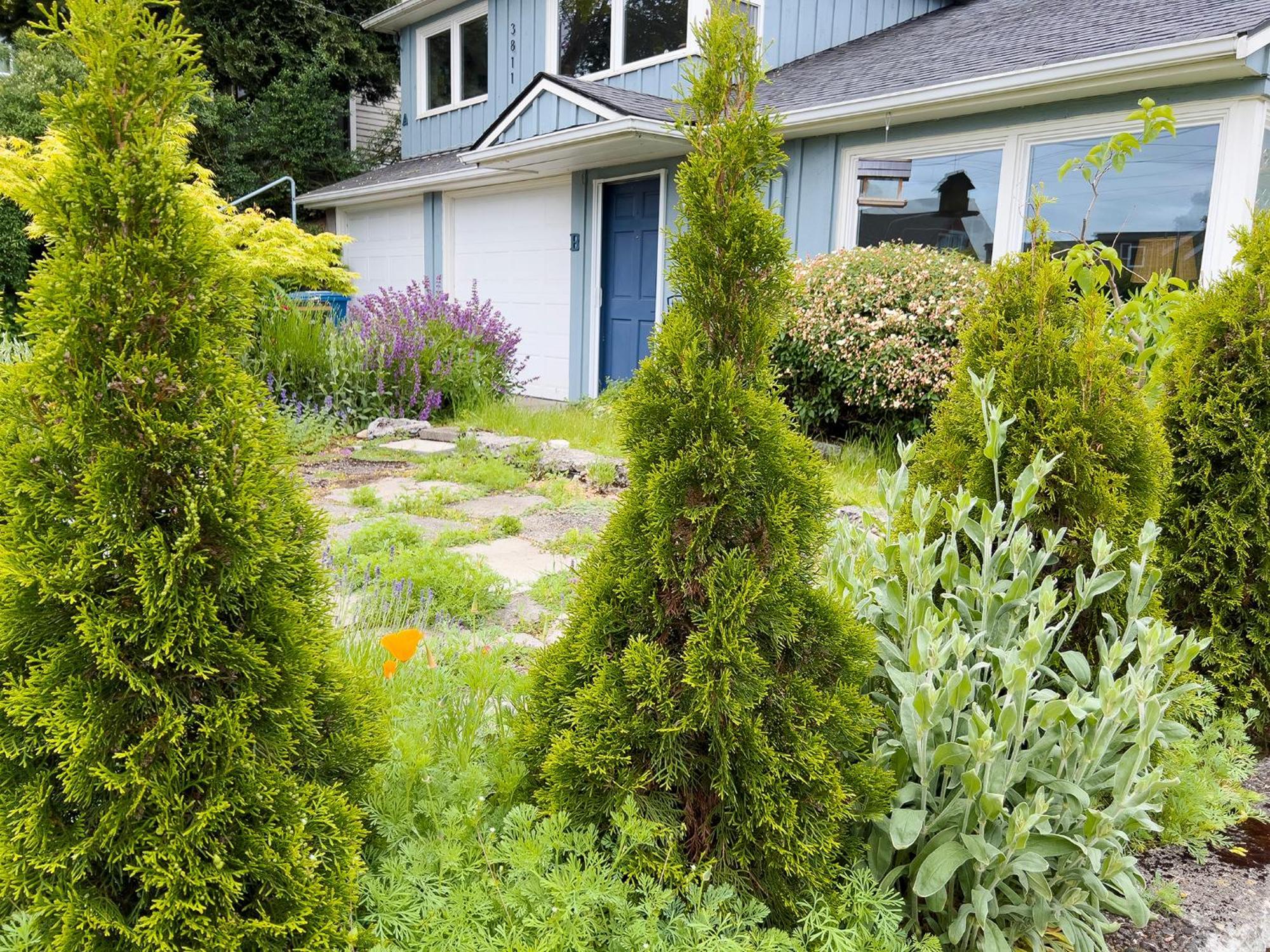 Magnolia Garden Cottage Seattle Exteriér fotografie